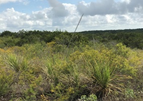Lot 113 429B, Uvalde, 78801, ,Farm and Ranch,Sold,429B,1101